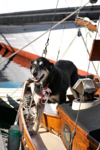 ptwatercraft.com